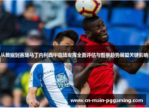 从数据到赛场马丁内利西甲临场发挥全面评估与前景趋势展望关键影响